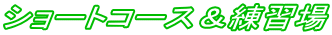 V[gR[XK